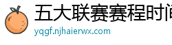 五大联赛赛程时间表2024年